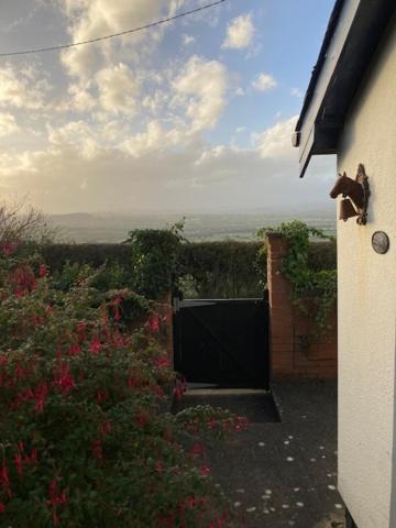 Trinity Cottage Welshpool Esterno foto